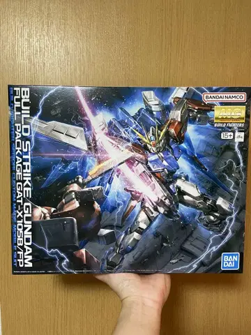 MG 1/100 빌드 스트라이크 건담 풀 패키지