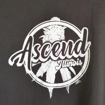 구제 의류 Hanes 칸나비스 ASCEND 티셔츠 블랙 L