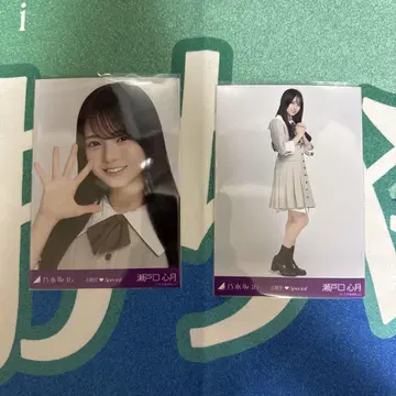 노기자카46 브로마이드 6기 Special 세토구치 코즈키 요리 히키