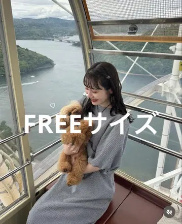 hinari 체크 무늬 퍼프 슬리브 원피스 네이비 FREE
