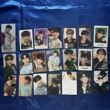 Stray Kids 스키즈 찬빈 트레이딩 카드