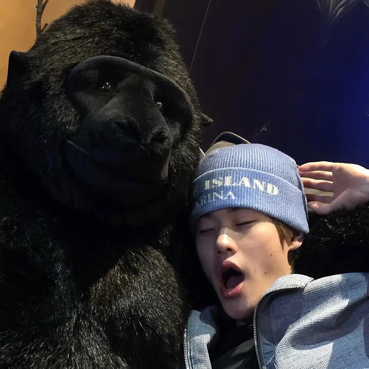 판매 완료