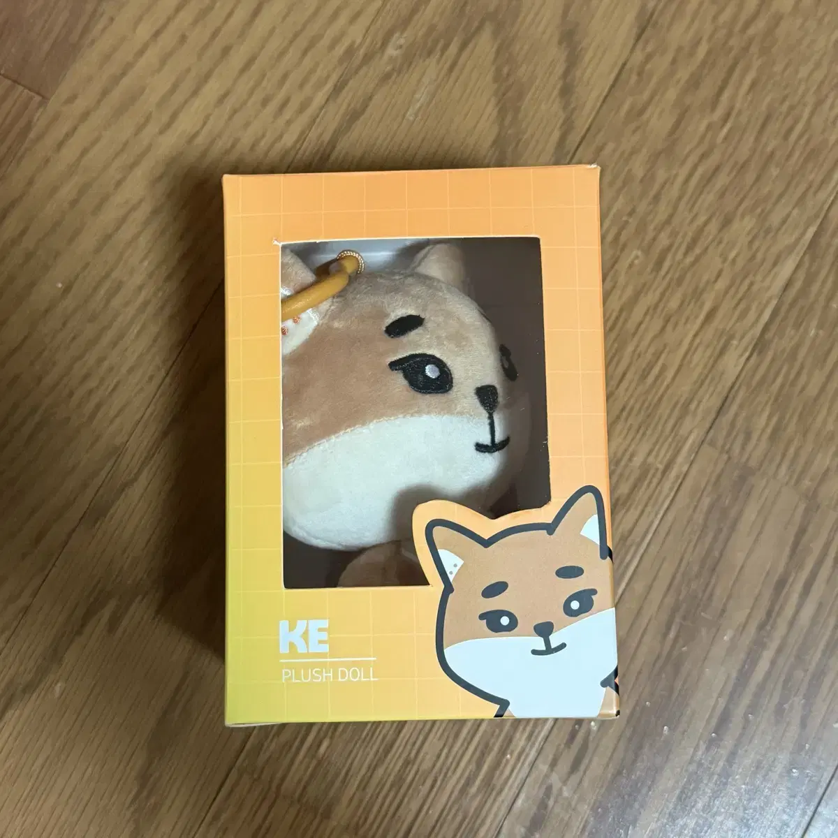 DAY6 Denimals 24K
