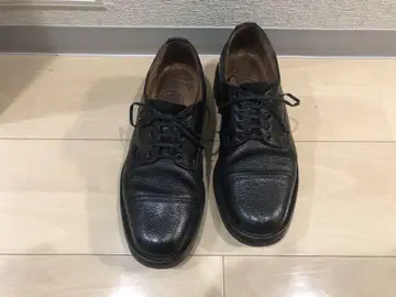 치니 켄곤 5.5