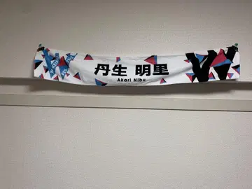 니부 아카리 더블 Keyakizaka46 페스티벌 2022 타월