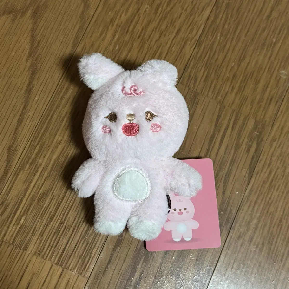 DAY6 Petit Mals Feel Pil-ggi