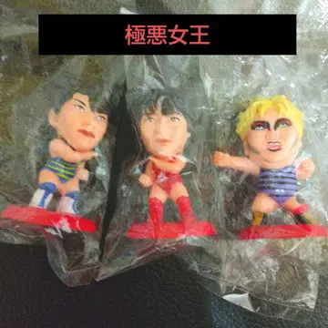 프로레슬링 프로 히어로즈 덤프 마츠모토 나가요 치가사 라이오네스 아스카