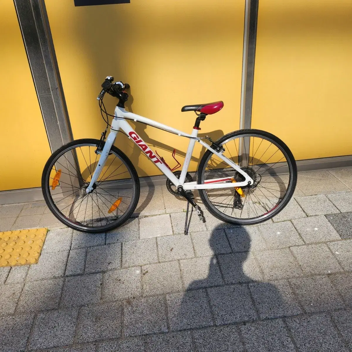 Giant Escape Jr Elementary School Student Bicycle