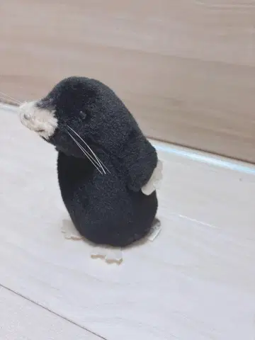 kosen 모글라 봉제 인형 케이센