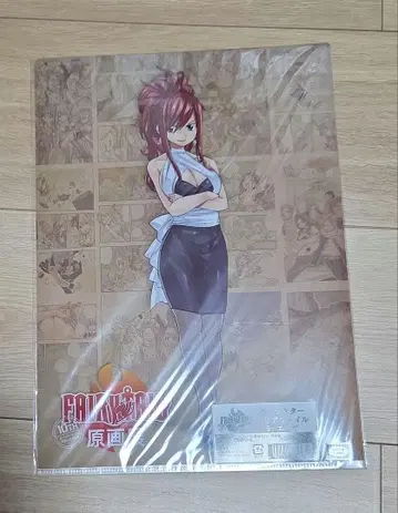 FAIRY TAIL 페어리 테일 A4 클리어 파일 엘자 스칼렛
