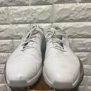 Puma 골프화 화이트