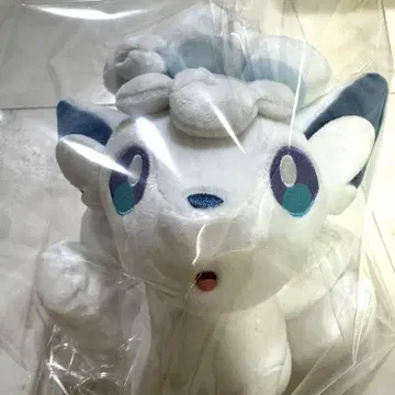 포켓몬스터 포켓몬 봉제 인형 애로우라로콘