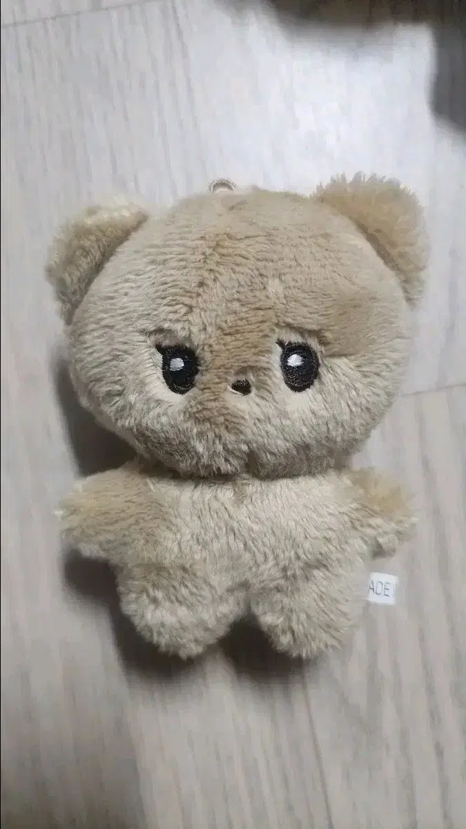 아스트로 차은우 비공식인형 차곰이