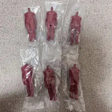 제일복권 진격의 거인 I상 땅울림 전 6종 컴프 세트