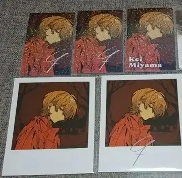 파라라이 교 seasonal 도프스페 금박 캔뱃지 혜택