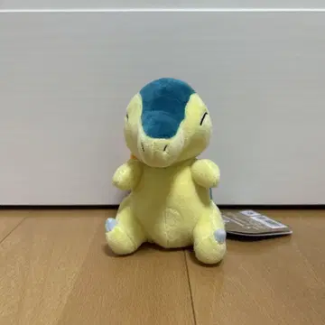 포켓몬 fit 히노아라시 택 포함