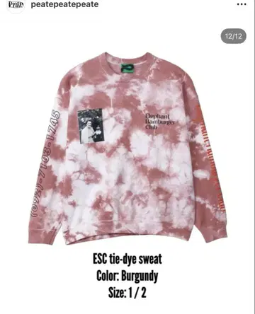peatepeatepeate ESC 타이-다이 스웨트