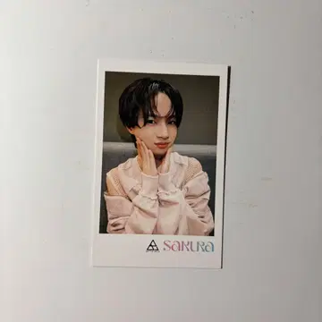 월산 경달 BATTLE BOYS 바토보 사쿠라