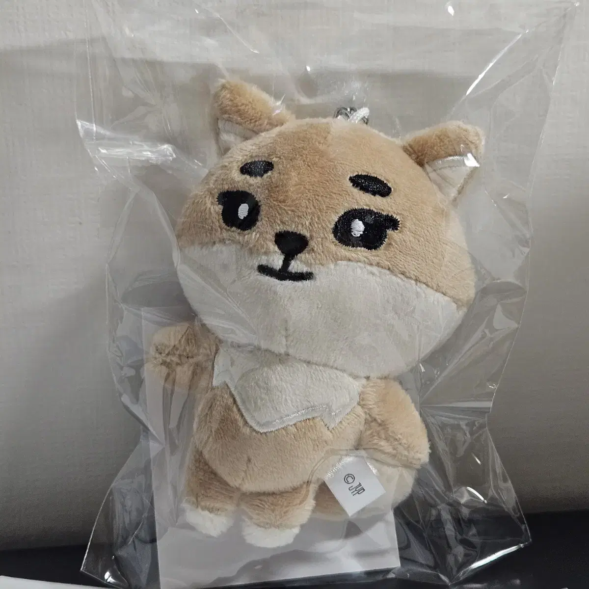 DAY6グッズ　バッグチャーム youngk ke ヨンケイ DAY6 | 데이식스 (Sealed) Day6 K Young K Japanese Bag Charm