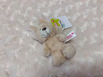 NICI 페넥 키링
