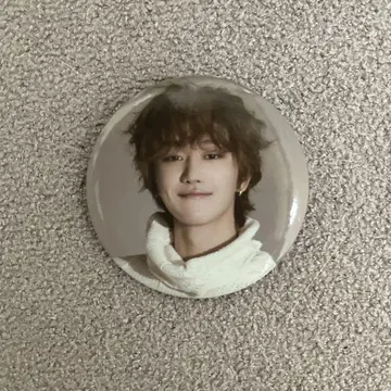 SEVENTEEN incomplete 캔뱃지 THE8