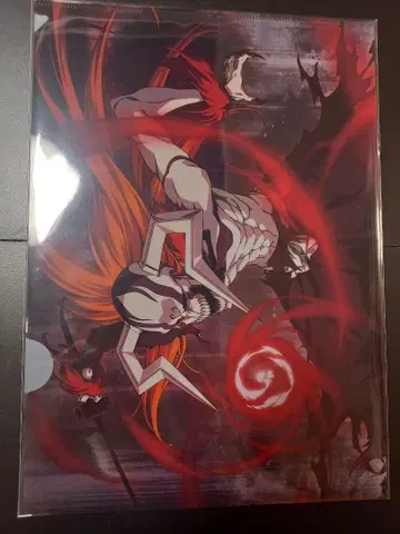 BLEACH 블리치 클리어 파일 미개봉 우루키오라 쿠로사키 이치고