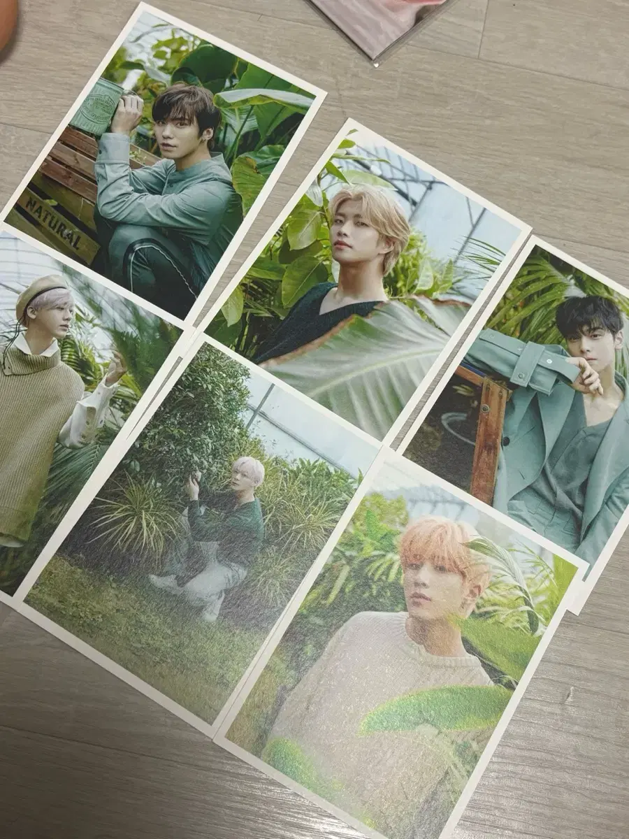 아스트로 엽서 양도