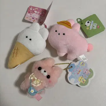 스쿠토타치 씨, 설레요!
