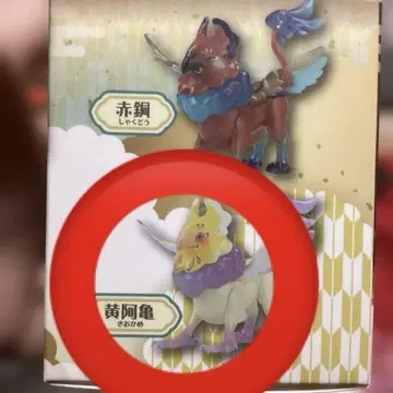 히코리히메 와시 BOX 한정 컬러 노랑 아가메 단독