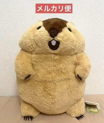 마모트의 모토토 울트라 BIG 봉제 인형