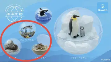 카프리움 컬렉션 해양 생물 5개 세트