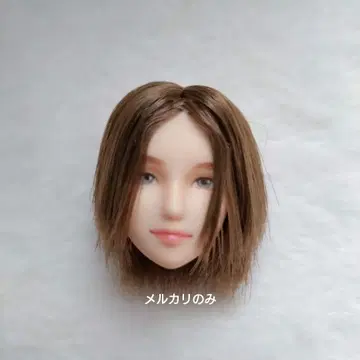 오비츠 27 커스텀 헤드 1/6 남자 도감에