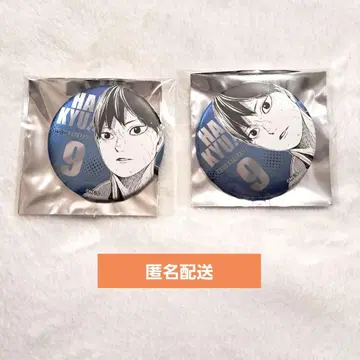 하이큐 팬 파크 데 컬렉션 캔뱃지 카게야마