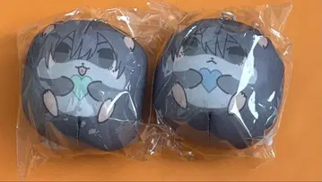 쌍둥이와 선생님 복권 메이트