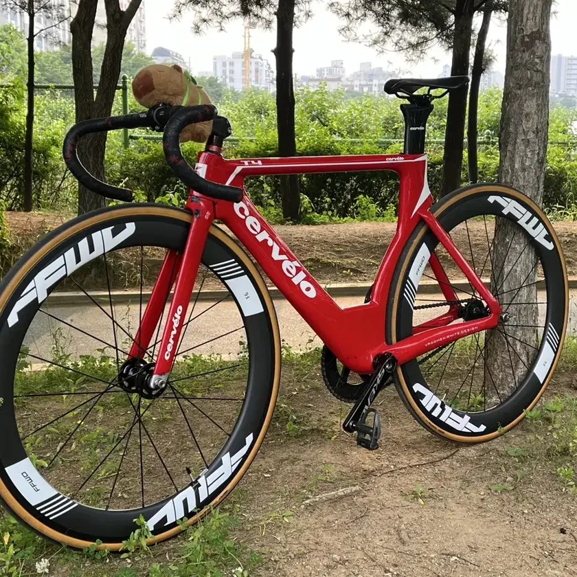 CERVELO T4 予約注文受付開始│Import Bikes Japan