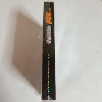 명탐정 코난 한국 할로윈의 신부 엽서 책
