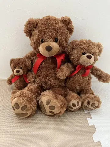 곰 봉제 인형 세트