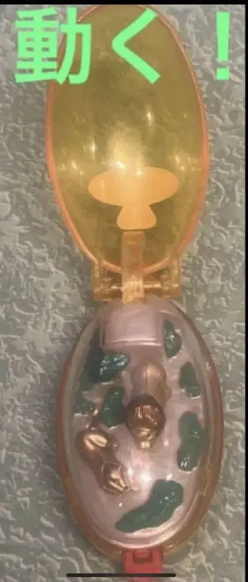 포켓 크리터 라이온