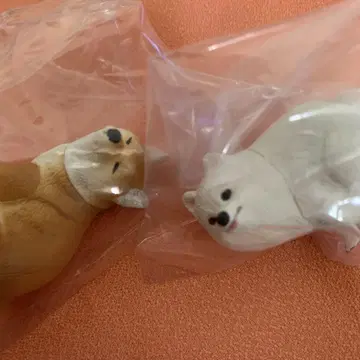 캡슐 토이 후마리누 시바견 시크릿&포메라니안 2종 세트