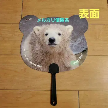 야기야마 동물원 북극곰 쌍둥이 부채
