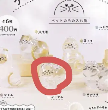우리 아이의 털뭉치 고양이 노멀 가챠 반려동물의 털 반려동물의 털 보관함