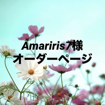 Amariris7 님의 오더 페이지