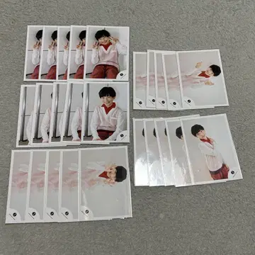 Boys be 나카가와 세이타 정문 솔로 콘서트 공식 사진 각 5장