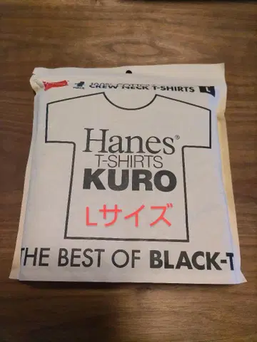 Hanes 헤인즈 L 사이즈 HM1-B201 T-SHIRTS