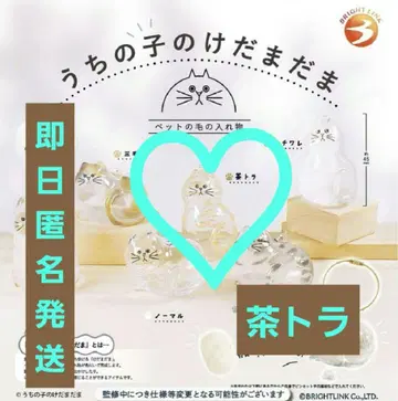 가챠 우리 아이의 털 브라운 트라 반려동물의 털 보관함 고양이