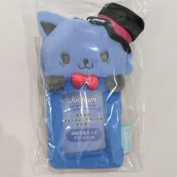 레인 트레이딩 카드 케이스