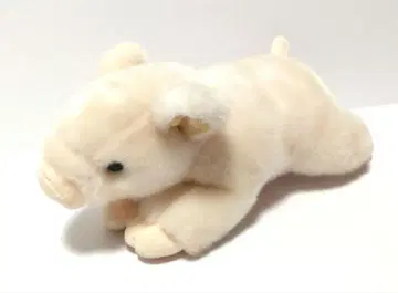 돼지 봉제 인형 돼지 CUTE 돼지 애니멀 동물