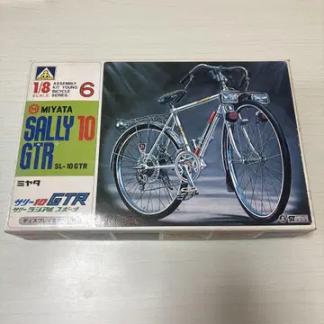 Sally 10GTR 자전거 모델 키트