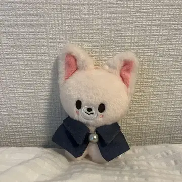 스트레이 키즈 10cm 인형 SKZOO 포크시니 아이엔
