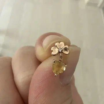 K10 PG 귀걸이 스타 주얼리